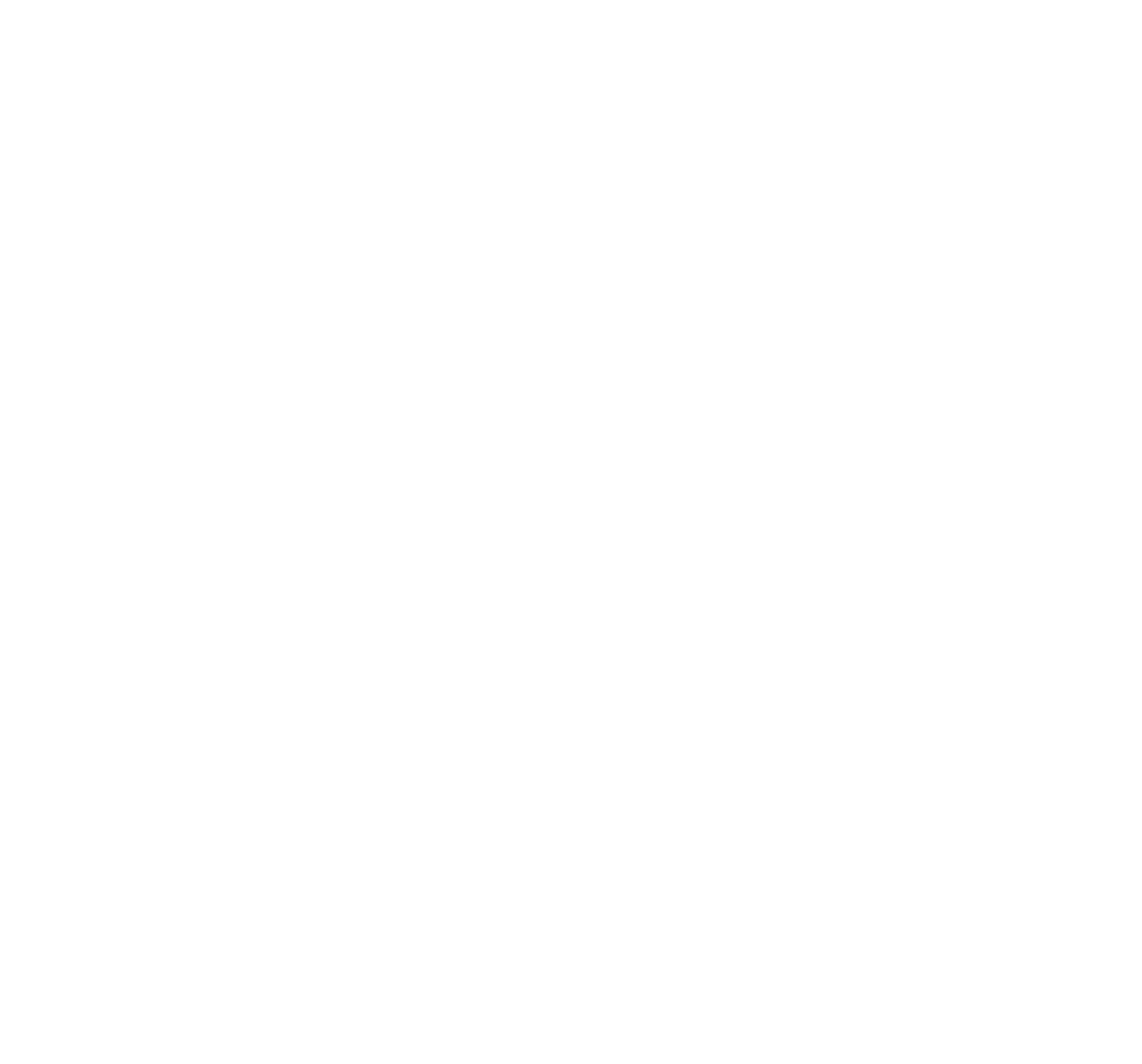 Logo 20aniv