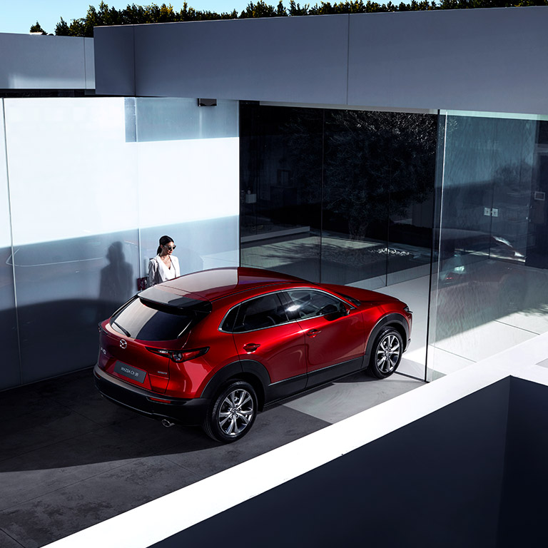 Touts paqueteuno esteticaautomotriz
